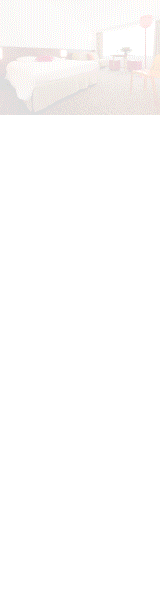 HOTEL Ibis - Macon Saint Albain La Salle